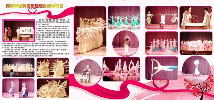 湖南壹定发赞助燕赵·恒爱残疾人艺术团圆满演出